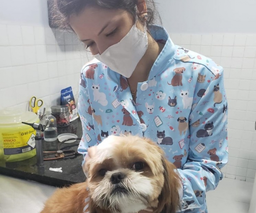Giárdia: você sabe o que é isso?
