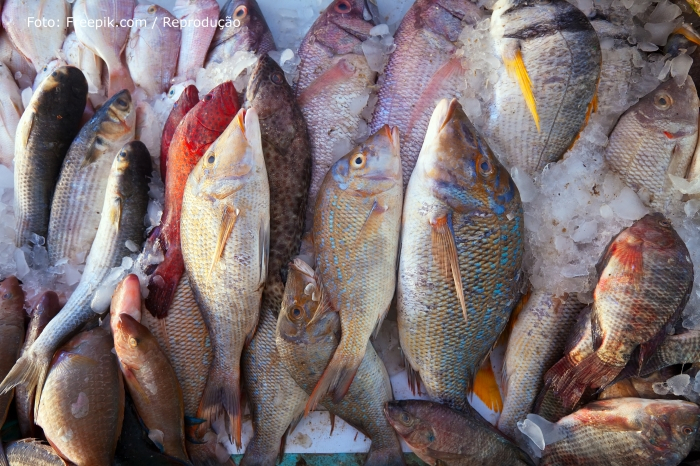 Governo do prefeito Marcelo Oliveira (PT) promove a Campanha do Pescado