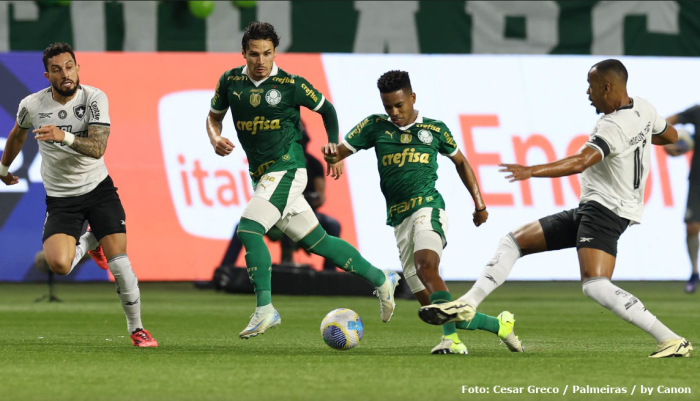 Botafogo vence o Palmeiras e abre três pontos de vantagem na liderança do Campeonato Brasileiro