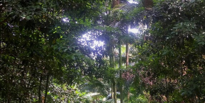 Parque de Mauá recebe nome em homenagem a Oswaldo Dias