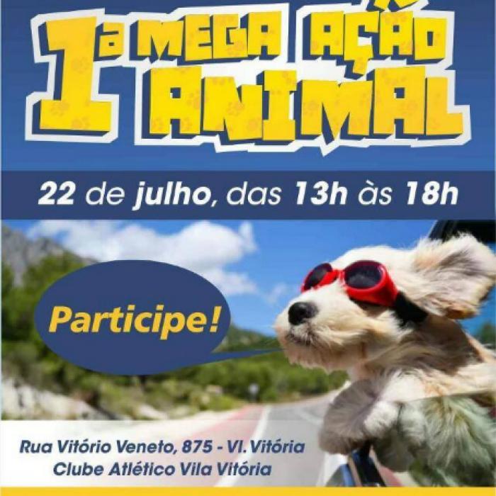Bingo beneficente em Mauá deve ajudar 400 animais carentes