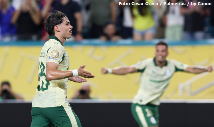 Futebol: Palmeiras enfrenta Botafogo neste sábado na Copa do Mundo de Clubes