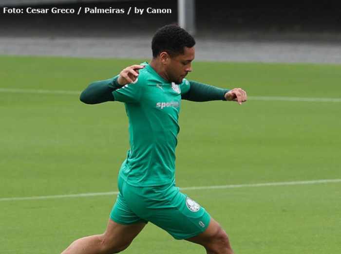 Palmeiras e Fluminense buscam vaga nas semifinais da Copa do Mundo de Clubes nesta sexta
