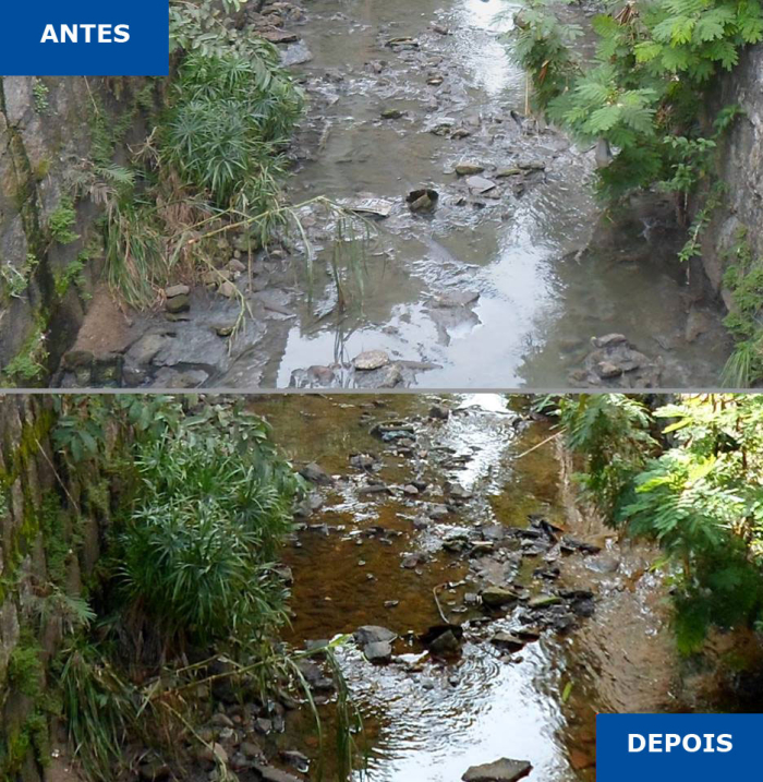 Dia de Combate à Poluição | BRK destaca que a participação da população é essencial para a preservação do meio ambiente