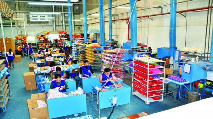 Fabricante de brinquedos em Mauá atrasa salários, benefícios e FGTS