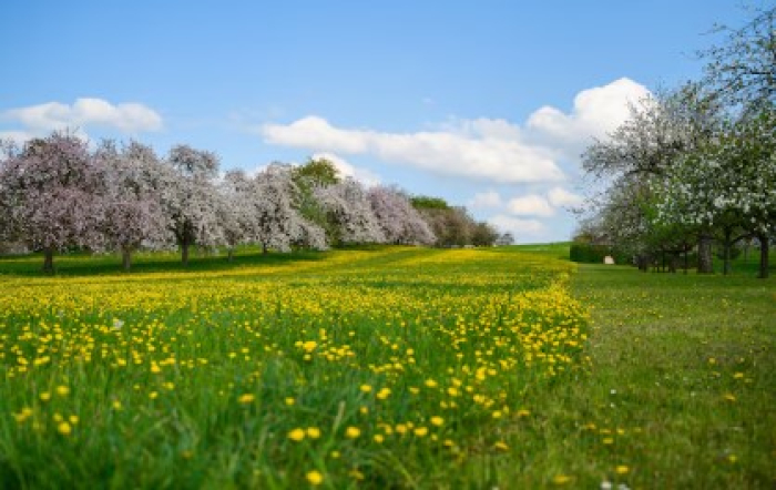 BRK destaca que a primavera chega com frente fria e previsão de chuvas próximas da média histórica para a região Sudeste