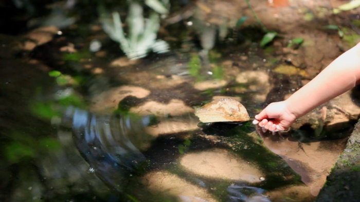 BRK Explica | Do rio à torneira e de volta à natureza: como funciona o ciclo do saneamento