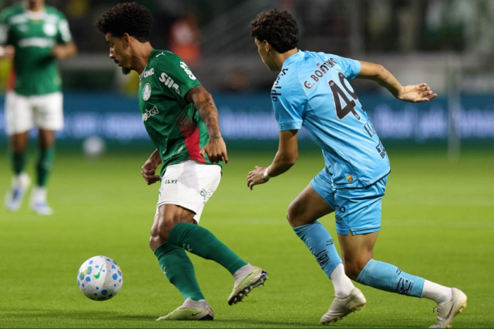 Palmeiras e Santos ficam no empate em clássico pelo Campeonato Brasileiro
