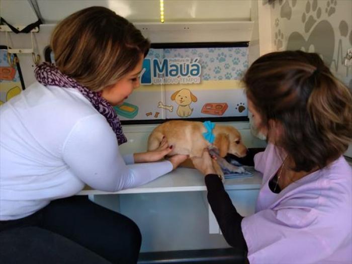 Feira de Doação de Animais bate recorde em Mauá
