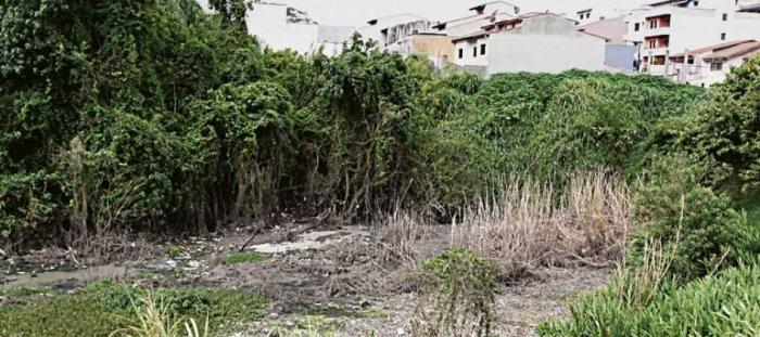 Vazamento de esgoto gera reclamações em Mauá