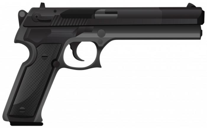 Grande ABC apreende duas armas de fogo por dia