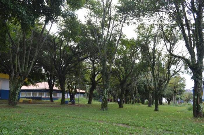 Mauá realiza atividades educacionais para conscientização e preservação do meio ambiente