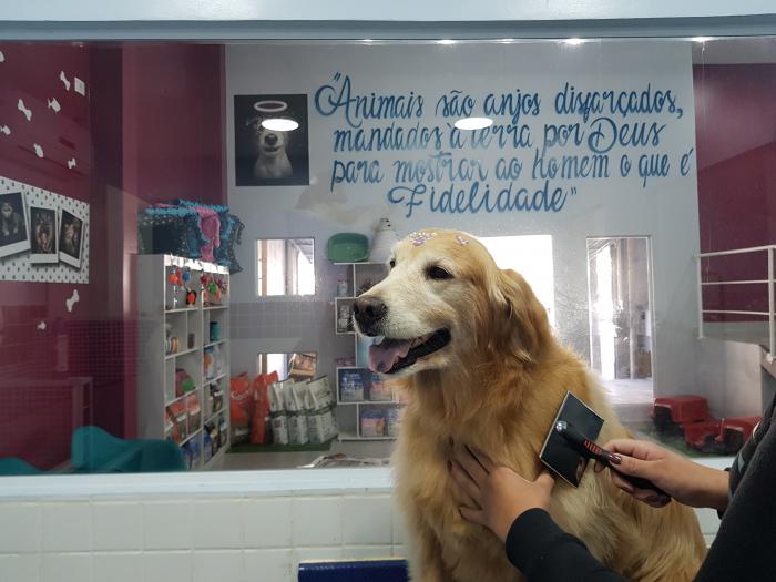 Espaço Vet Napoleão quer trazer novos conceitos em veterinária e estética animal para ser referência em Mauá