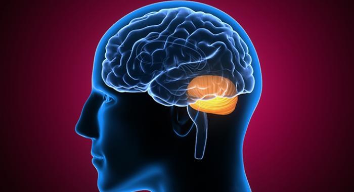 Especialista da Santa Casa de Mauá alerta para tratamento e progressão da Esclerose Múltipla