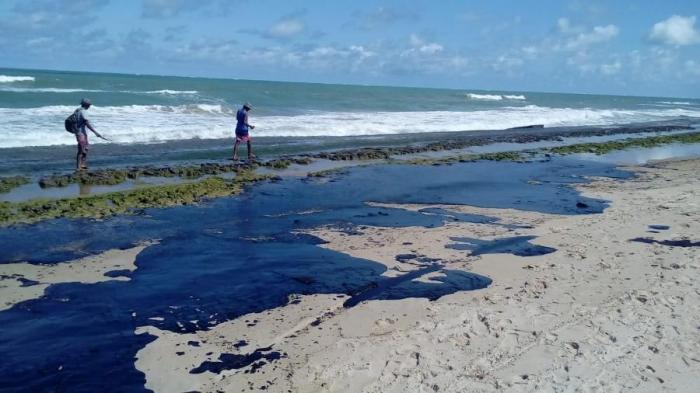 Praias baianas perdem até 66% de seus animais após derramamento de óleo