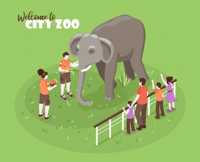 Zoológico de SP, Zoo Safári e Jardim Botânico são fechados após morte de macaco 