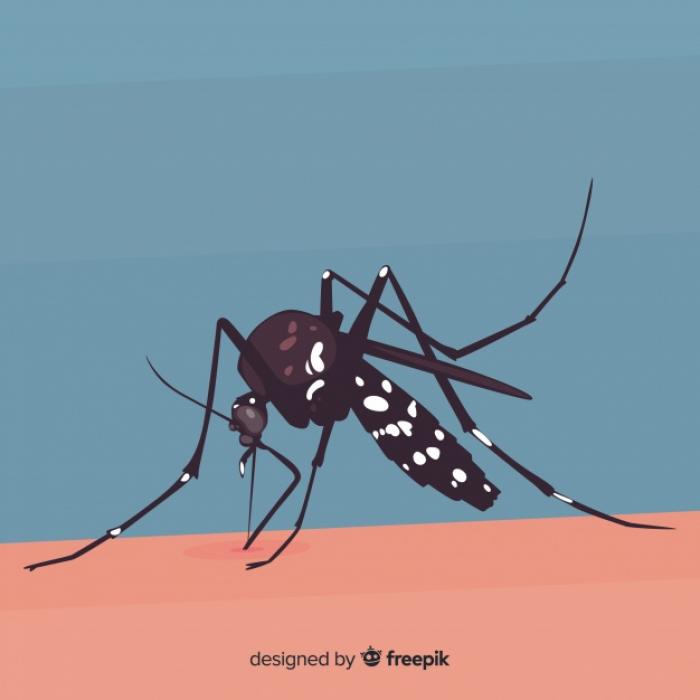 Grande ABC registra queda de 98% nos casos de dengue em 2017