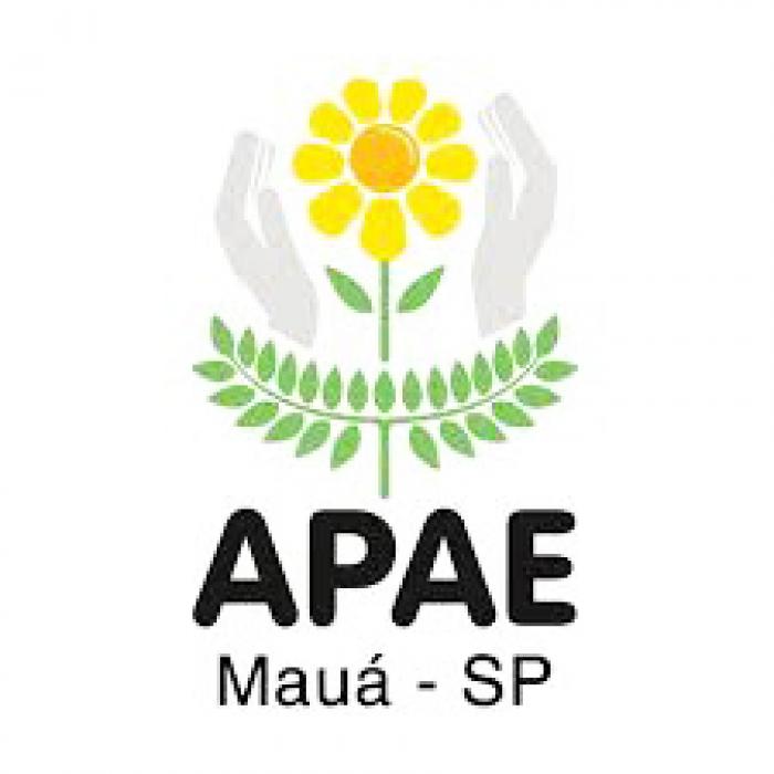 APAE-Mauá segue atendendo alunos de forma remota