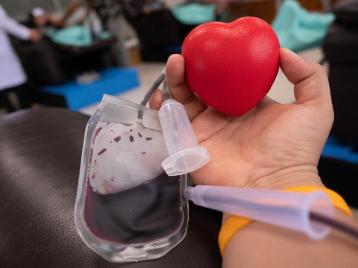 Vereadores de Mauá aprovam em primeira votação projeto que isenta doadores de sangue e medula de pagamento de taxa em concursos 