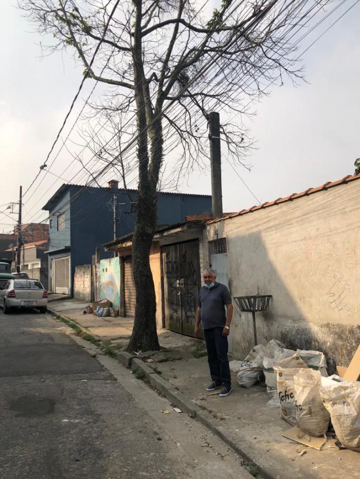 Severino do MSTU solicita poda de árvore no Parque das Américas