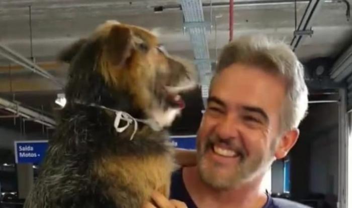 Defensor da causa animal, candidato a vereador Rogério Lopes fala sobre suas propostas