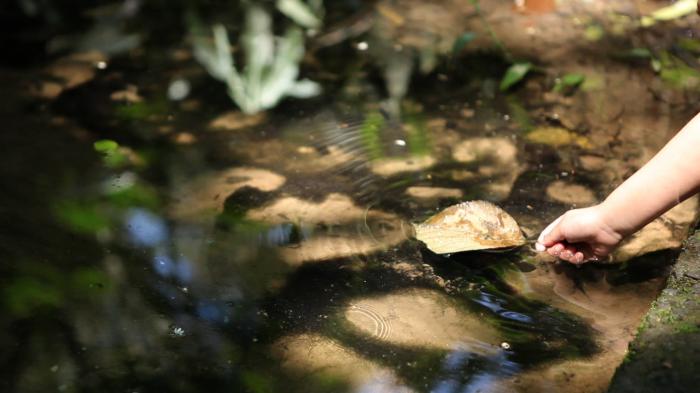 Dia do Engenheiro Ambiental: profissão é  fundamental para o saneamento e a sustentabilidade