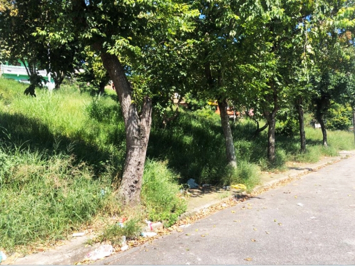 Douglas D&F Car pede manutenção de praças dos jardins Zaíra e Mauá