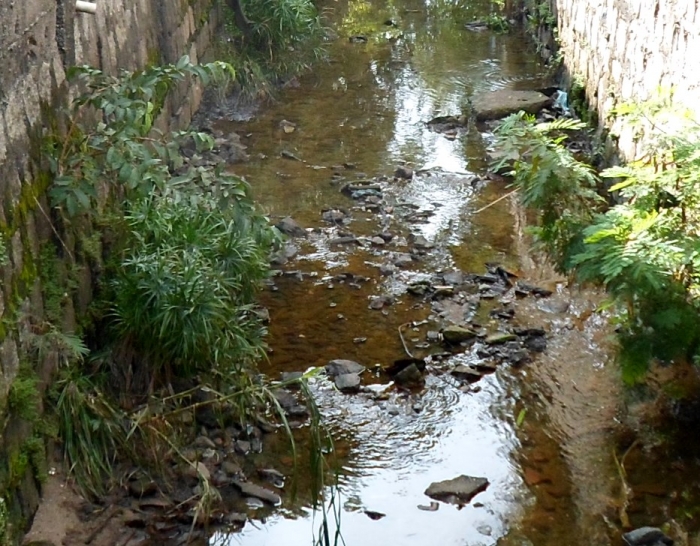 Mauá celebra o dia Mundial do Meio Ambiente com a despoluição de córregos
