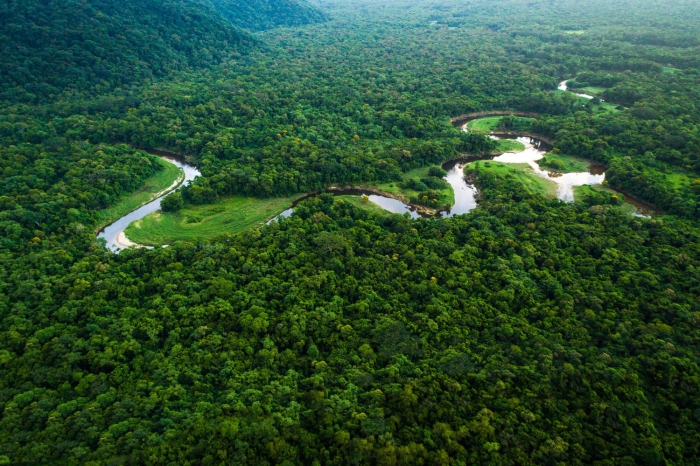 No dia de proteção às florestas, BRK Ambiental destaca como o desmatamento pode afetar rios e córregos na cidade