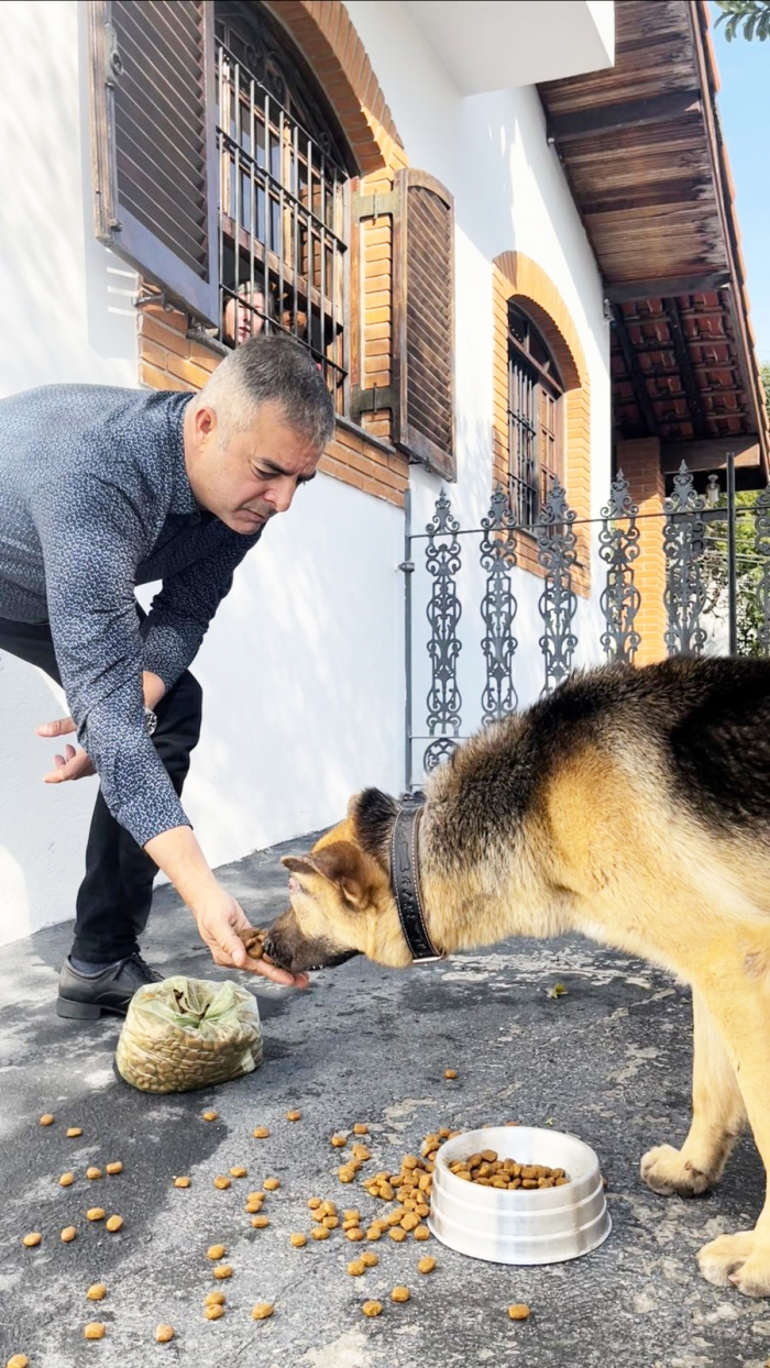 UPA Animal de Mauá não tem estrutura para atendimento