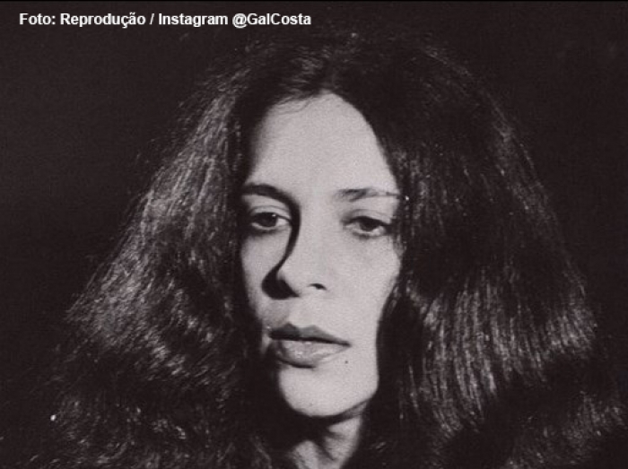 Cantora Gal Costa morre aos 77 anos