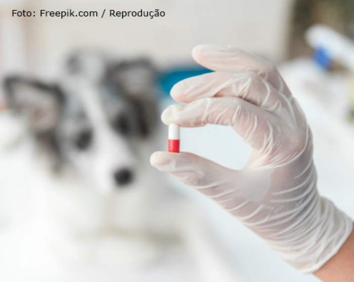 EUA não exigirá mais realização de testes de medicamentos em animais