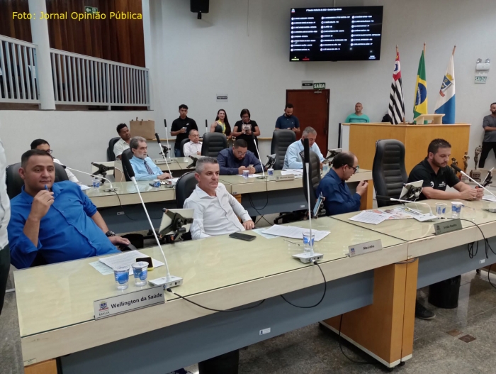 Câmara de Mauá aprova pagamento de auxílio-aluguel a mulheres vítimas de violência doméstica