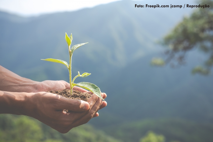 Editorial - O meio ambiente e o nosso futuro