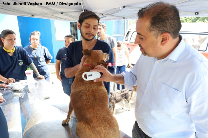 Mauá aprova lei sobre trânsito de animais domésticos em condomínios da cidade